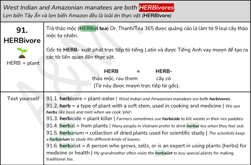 Rootwords for IELTS Reading Cambridge IELTS 20 — trang nội dung